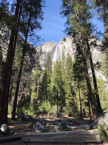 Yosemite Haven @ Pine Mountain Lake. Dog Friendly! Groveland Kültér fotó